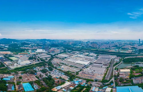 黃埔區(qū)2021年公辦小學(xué)招生地段劃分中的房產(chǎn)信息咨詢規(guī)定詳解